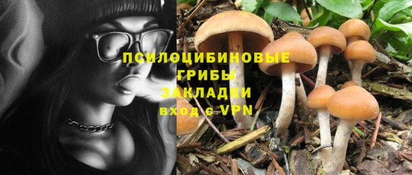 стаф Беломорск