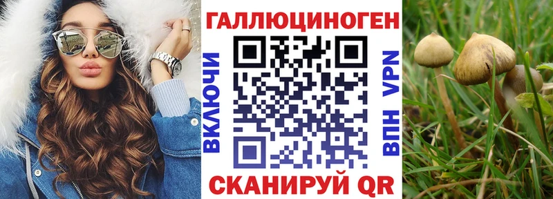 сколько стоит  гидра маркетплейс  Галлюциногенные грибы Psilocybe  Юхнов 
